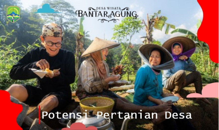 Potensi Pertanian Desa